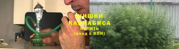гидра Медвежьегорск