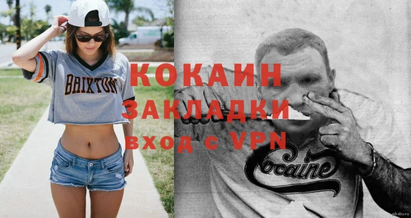 прущие грибы Новый Уренгой