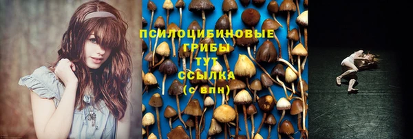 шишки Баксан