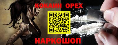 стаф Дубна