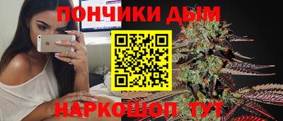 стаф Дубна