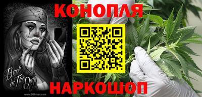 стаф Дубна