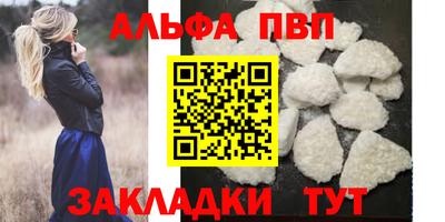 стаф Дубна