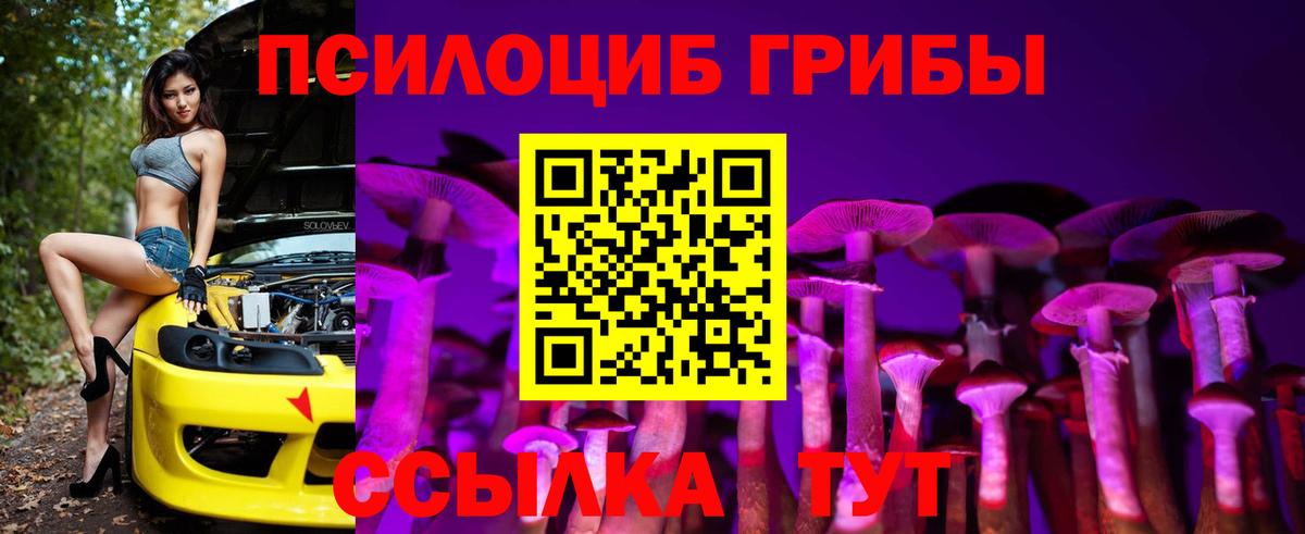 Галлюциногенные грибы Cubensis  Галлюциногенные грибы Magic Shrooms  Вход с VPN  Карачаевск 
